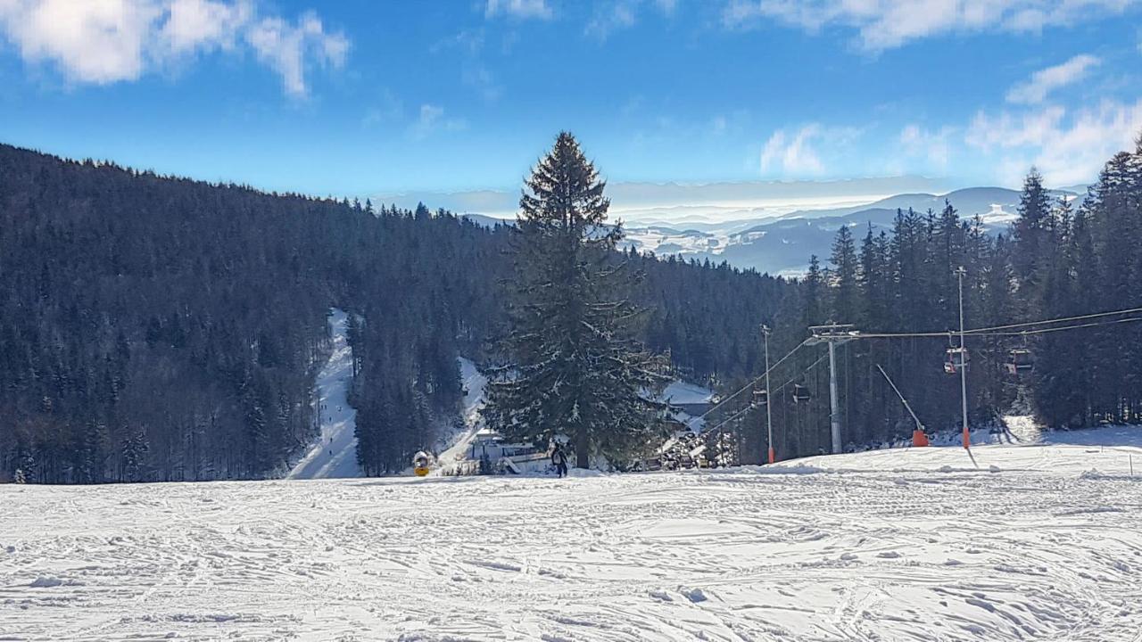 Chalex Villa Aigen im Mühlkreis Екстериор снимка